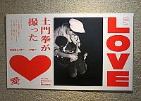 IMG 3797