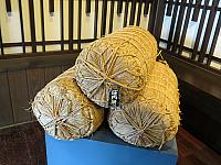 IMG 3869