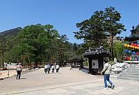 IMG 3623