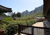 IMG 3657