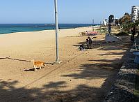 IMG 3684