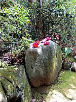 IMG 3263