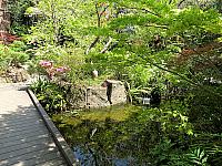 IMG 3274