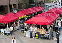 IMG 3291