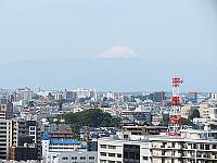 IMG 3312