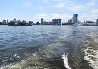 IMG 4071