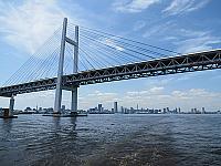IMG 4082
