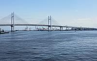 IMG 4100