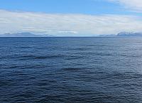 IMG 4218