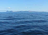 IMG 4220