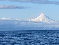 IMG 4224