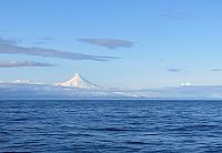 IMG 4225
