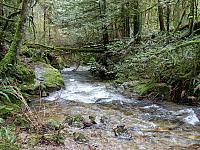 IMG 7060