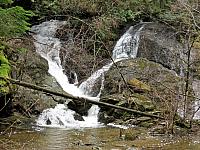 IMG 7074