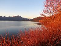 IMG 7174