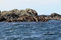 IMG 7200
