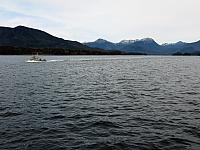 IMG 7222