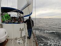 IMG 7230 (1)