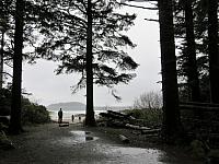 IMG 7234