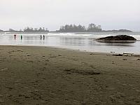 IMG 7239