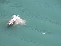 Alaska2005A 124