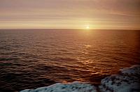 IMG036