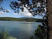 IMG 1318 copy
