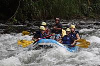 IMG 7561